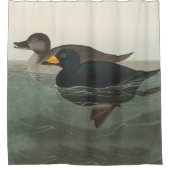 Audubon American Scoter Duck Classic Douchegordijn (Voorkant)
