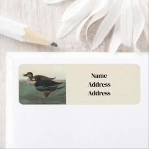 Audubon American Scoter Duck Classic Etiket