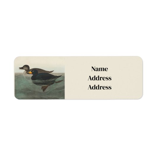 Audubon American Scoter Duck Classic Etiket (Voorkant)
