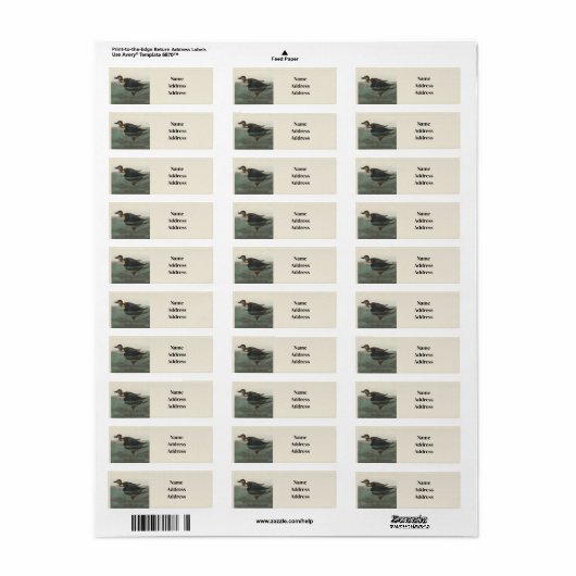 Audubon American Scoter Duck Classic Etiket (Full Sheet)