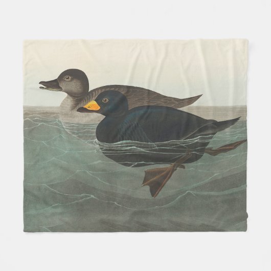 Audubon American Scoter Duck Classic Fleece Deken (Voorkant (Horizontaal))