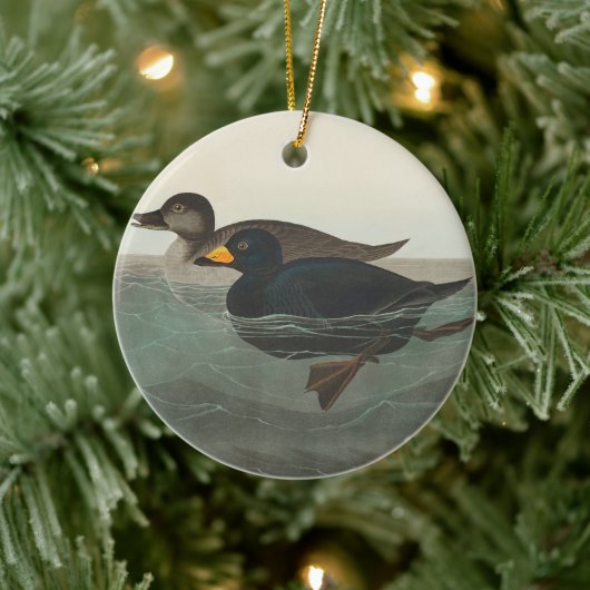 Audubon American Scoter Duck Classic Keramisch Ornament (Boom)