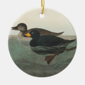 Audubon American Scoter Duck Classic Keramisch Ornament (Voorkant)