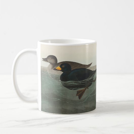 Audubon American Scoter Duck Classic Koffiemok (Links)