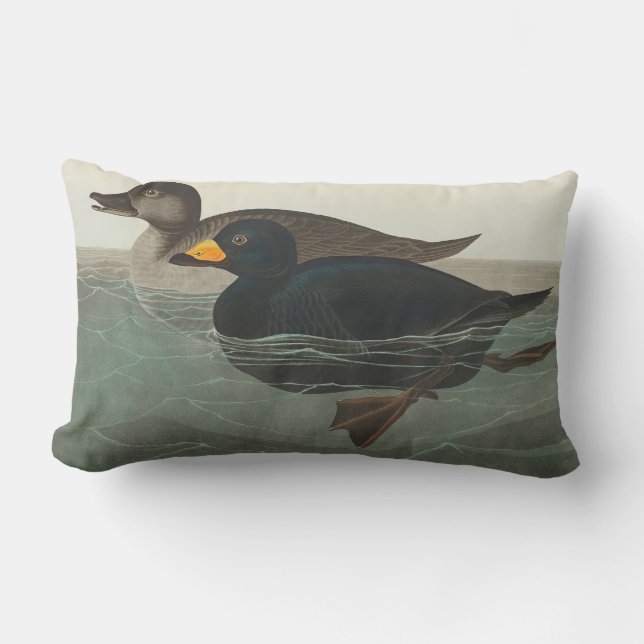 Audubon American Scoter Duck Classic Kussen (Voorkant)