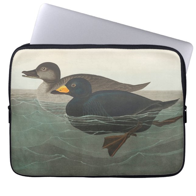 Audubon American Scoter Duck Classic Laptop Sleeve (Voorkant)