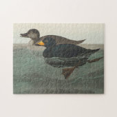 Audubon American Scoter Duck Classic Legpuzzel (Horizontaal)