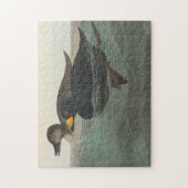 Audubon American Scoter Duck Classic Legpuzzel (Verticaal)
