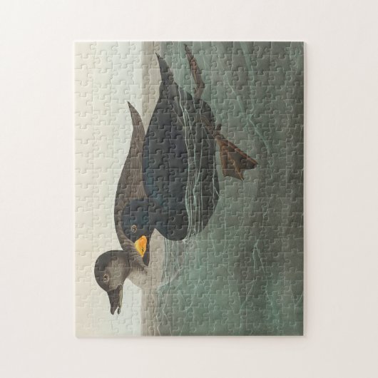 Audubon American Scoter Duck Classic Legpuzzel (Verticaal)