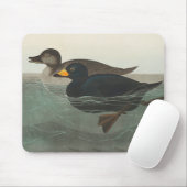 Audubon American Scoter Duck Classic Muismat (Met muis)
