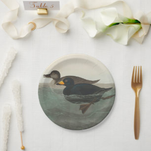 Audubon American Scoter Duck Classic Papieren Bordje