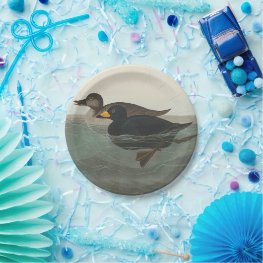 Audubon American Scoter Duck Classic Papieren Bordje (Feest)