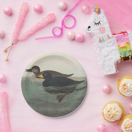 Audubon American Scoter Duck Classic Papieren Bordje (Feest)