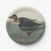 Audubon American Scoter Duck Classic Papieren Bordje (Voorkant)
