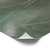 Audubon American Scoter Duck Classic Perfect Poster (Hoek)