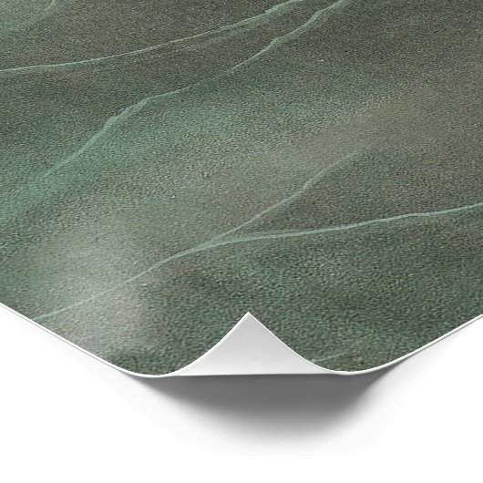 Audubon American Scoter Duck Classic Perfect Poster (Hoek)