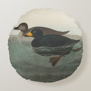 Audubon American Scoter Duck Classic Rond Kussen