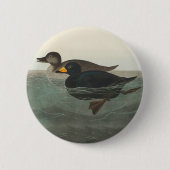 Audubon American Scoter Duck Classic Ronde Button 5,7 Cm (Voorkant)