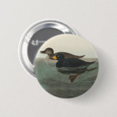 Audubon American Scoter Duck Classic Ronde Button 5,7 Cm (Voorkant /achterkant)