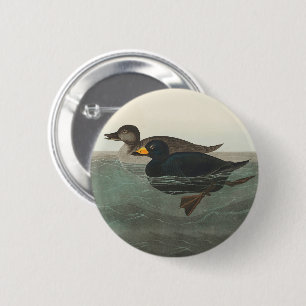 Audubon American Scoter Duck Classic Ronde Button 5,7 Cm