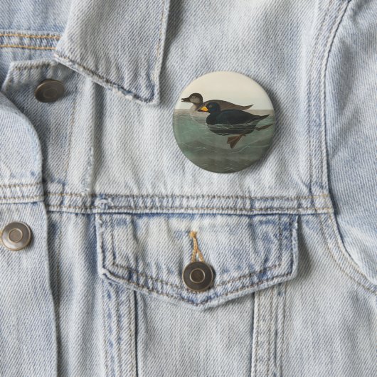 Audubon American Scoter Duck Classic Ronde Button 5,7 Cm (In situ)