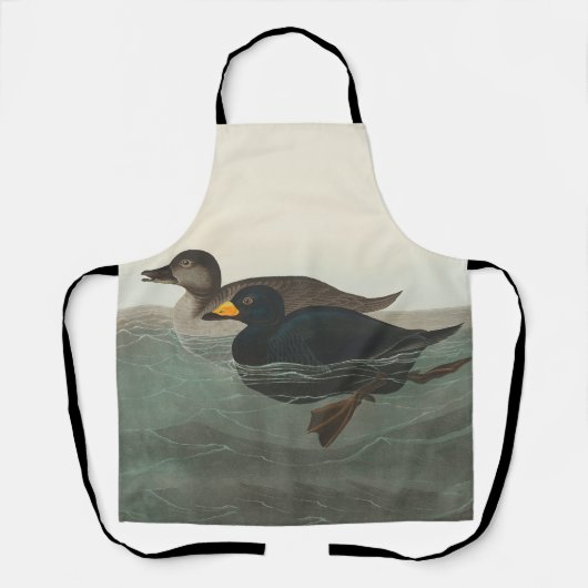 Audubon American Scoter Duck Classic Schort (Voorkant)