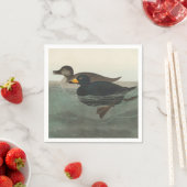 Audubon American Scoter Duck Classic Servet (Insitu)
