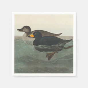 Audubon American Scoter Duck Classic Servet