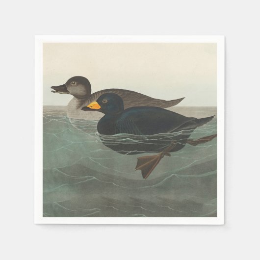 Audubon American Scoter Duck Classic Servet (Voorkant)