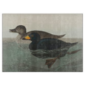 Audubon American Scoter Duck Classic Snijplank (Voorkant)