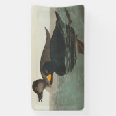 Audubon American Scoter Duck Classic Spandoek (Verticaal)