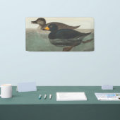 Audubon American Scoter Duck Classic Spandoek (Beurs)