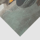 Audubon American Scoter Duck Classic Tissuepapier (Detail)