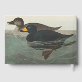 Audubon American Scoter Duck Gastenboek (Achterkant)