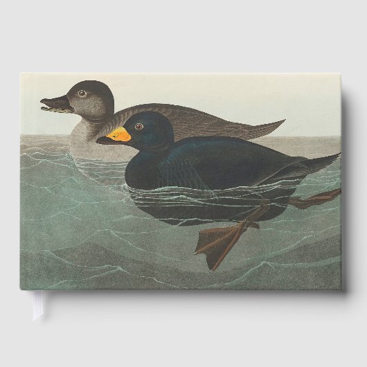 Audubon American Scoter Duck Gastenboek (Voorkant)