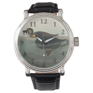 Audubon American Scoter Duck Horloge