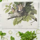 Audubon American Spring Robin Bird Illustratie Theedoek (Gevouwen)
