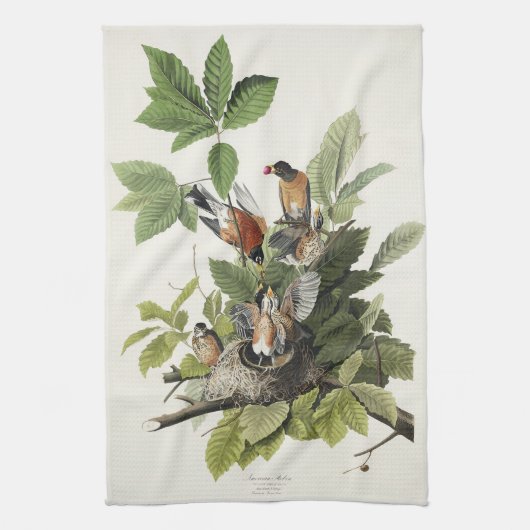 Audubon American Spring Robin Bird Illustratie Theedoek (Verticaal)