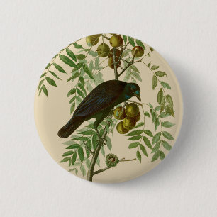 Audubon Amerikaanse Kraai Zwarte Vogel Ronde Button 5,7 Cm