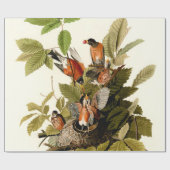 Audubon Amerikaanse Robin Wildlife Bird Illustrati Cadeaupapier (Vlak)