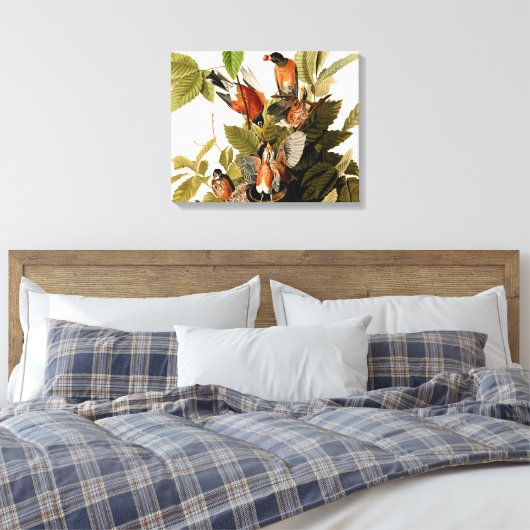Audubon Amerikaanse Robin Wildlife Bird Illustrati Canvas Afdruk (Insitu (Slaapkamer))
