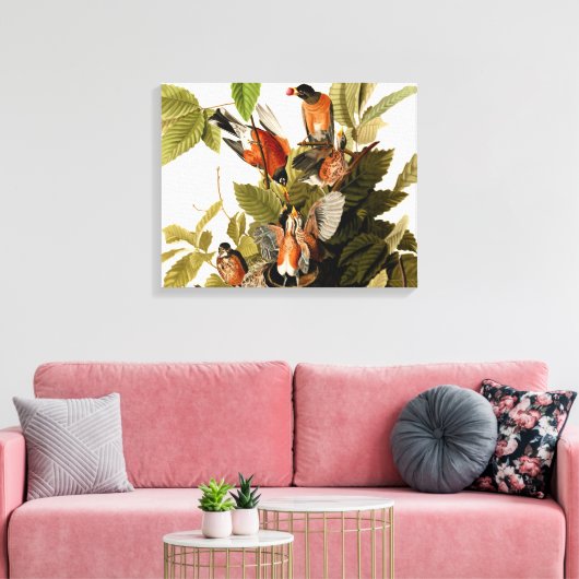 Audubon Amerikaanse Robin Wildlife Bird Illustrati Canvas Afdruk (Insitu (Woonkamer))