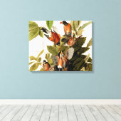 Audubon Amerikaanse Robin Wildlife Bird Illustrati Canvas Afdruk (Insitu (Houten vloer))