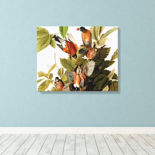 Audubon Amerikaanse Robin Wildlife Bird Illustrati Canvas Afdruk (Insitu (Houten vloer))