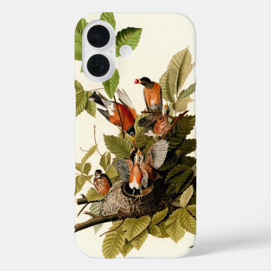 Audubon Amerikaanse Robin Wildlife Bird Illustrati Case-Mate iPhone Case (Achterkant)