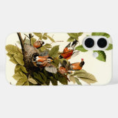 Audubon Amerikaanse Robin Wildlife Bird Illustrati Case-Mate iPhone Case (Achterkant (horizontaal))