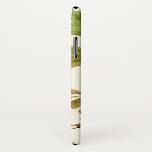 Audubon Amerikaanse Robin Wildlife Bird Illustrati Case-Mate iPhone Case (Achterkant / rechts)