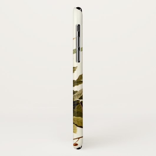 Audubon Amerikaanse Robin Wildlife Bird Illustrati Case-Mate iPhone Case (Achterkant/links)