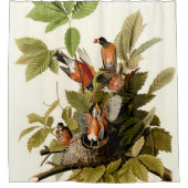 Audubon Amerikaanse Robin Wildlife Bird Illustrati Douchegordijn (Voorkant)