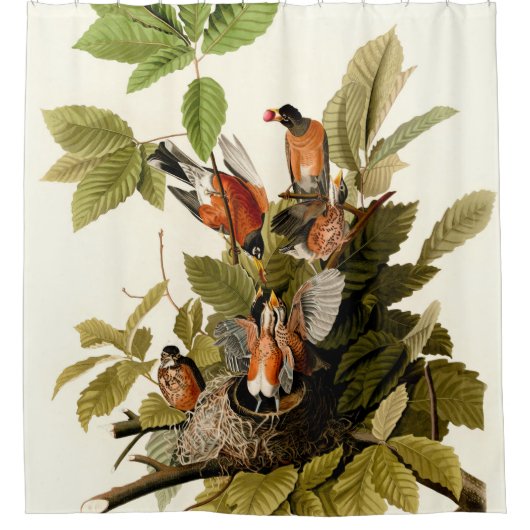 Audubon Amerikaanse Robin Wildlife Bird Illustrati Douchegordijn (Voorkant)